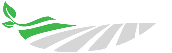 Silenieki